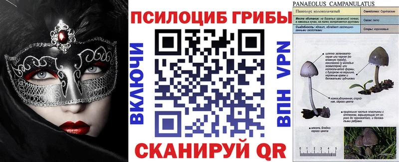 Псилоцибиновые грибы Magic Shrooms  блэк спрут ссылка  Ессентуки 